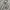 Giordano Casual Casual shirt Pria white gray photo 2
