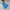 The North Face Gorpcore Casual Windbreaker Kids blue photo 5