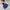 The North Face Gorpcore Casual Windbreaker Kids blue photo 1