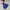 The North Face Gorpcore Casual Windbreaker Kids Blue