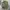 Uniqlo Casual Casual Shirt Pria Green