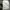 Lacoste Vintage Casual shirt Pria white photo 4