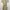 Minimalist Casual Casual dress Wanita cream photo 1