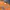 Streetwear Sportswear Sweater Pria orange photo 4