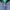 Baracuta Vintage Harrington jacket Pria green navy photo 2
