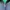 Baracuta Vintage Harrington Jacket Pria Green Navy