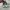 Adidas Casual Sneakers Pria multicolor photo 4