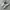Adidas Casual Sneakers Pria multicolor photo 1