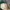 Vintage Y2K Hat Pria green cream photo 5