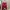 Japanese brand Casual Sweatshirt Wanita multicolor photo 1