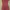 Minimalist Kids red photo 1