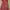 Minimalist Kids red photo 2