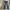 Cole Haan Streetwear Jeans Pria Gray Blue