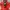 A Bathing Ape Y2K Sweater Pria red photo 2