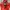 A Bathing Ape Y2K Sweater Pria Red
