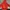 A Bathing Ape Y2K Sweater Pria red photo 6