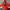 A Bathing Ape Y2K Sweater Pria red photo 1