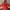 A Bathing Ape Y2K Sweater Pria Red