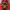 A Bathing Ape Y2K Sweater Pria red photo 3