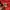 A Bathing Ape Y2K Sweater Pria red photo 4