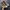 Converse Casual Sneakers Pria tan photo 3