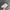 Airwalk Streetwear Sportswear Sneakers Pria white navy photo 2