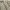 Vintage Y2K Formal shirt Pria tan gray photo 3