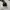 Adidas Casual Casual shoe Pria white black photo 4