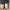 Dr. Martens Indie Casual Casual shoe Pria burgundy brown photo 2