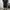 Umbro Streetwear Sportswear Pria black photo 1