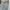 Nike Streetwear Casual Jumper Pria gray yellow photo 2