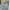 Nike Streetwear Casual Jumper Pria Gray Yellow