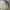Gorpcore Bomber jacket Pria white photo 3