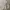 Kappa Streetwear Hoody Pria white photo 4