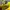 Adidas Casual Casual shoe Pria red yellow photo 5