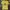 Casual T-shirt Wanita yellow photo 1