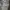 Spalding Sportswear Casual Harrington jacket Pria green photo 2
