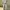 Y2K Skater Formal shirt Pria white photo 2