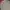 Ben Davis Streetwear Skater Sweatshirt Pria gray photo 2