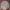 Ben Davis Streetwear Skater Sweatshirt Pria gray photo 1