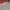 Ben Davis Streetwear Skater Sweatshirt Pria gray photo 3
