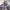 Asics Vintage Puffer jacket Pria purple pink photo 4