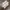 Dr. Martens Casual Sneakers Pria white photo 3