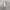 Minimalist Wanita white photo 1