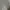 Nike Streetwear Sweatpants & Joggers Pria gray photo 1