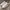 Dr. Martens Minimalist Casual Sneakers Pria white photo 4