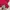 New Balance Sportswear Jersey Pria red photo 3