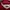 New Balance Sportswear Jersey Pria red photo 2