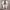 Off-White Cosplay Casual Sneakers Pria white photo 3
