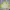 Columbia Gorpcore Casual Windbreaker Pria yellow photo 4